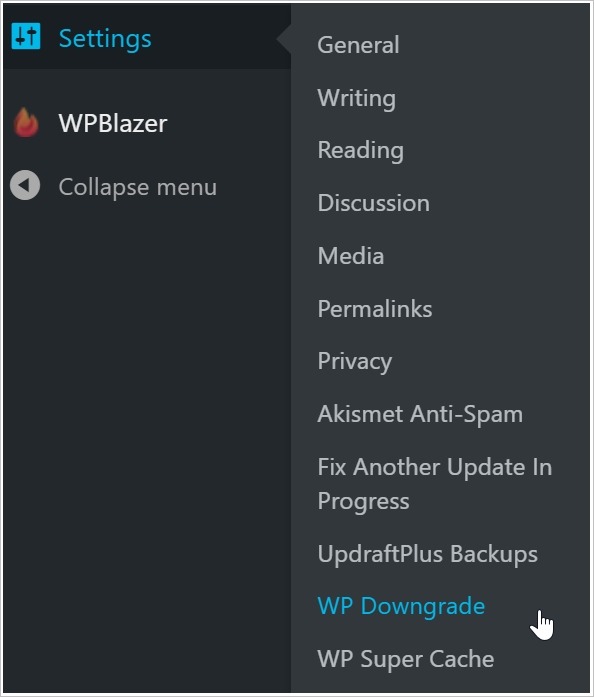 WP Downgrade settings