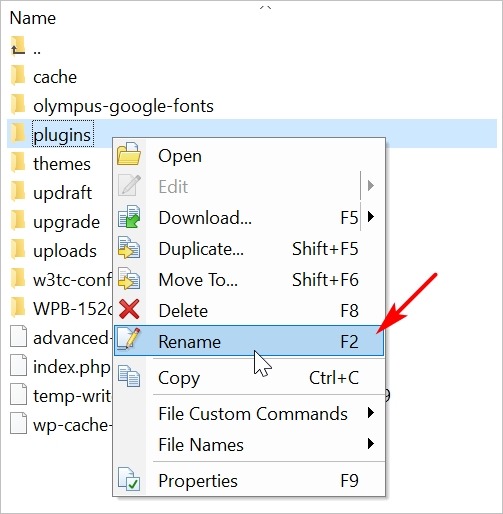 rename WordPress plugin folder