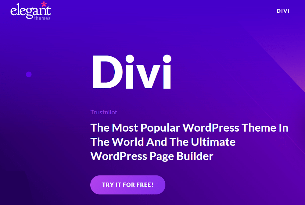 Divi Theme