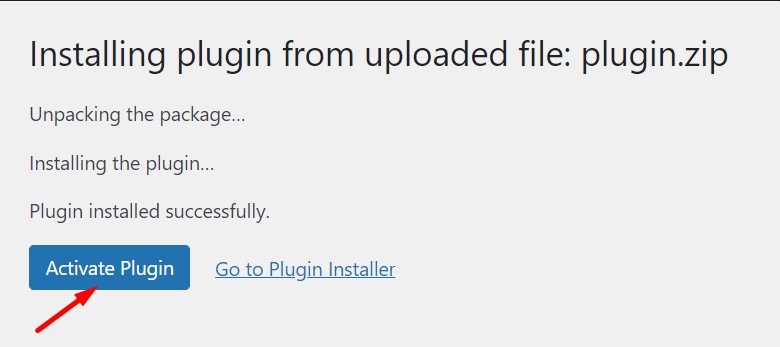 Successful Installation WP Plugin