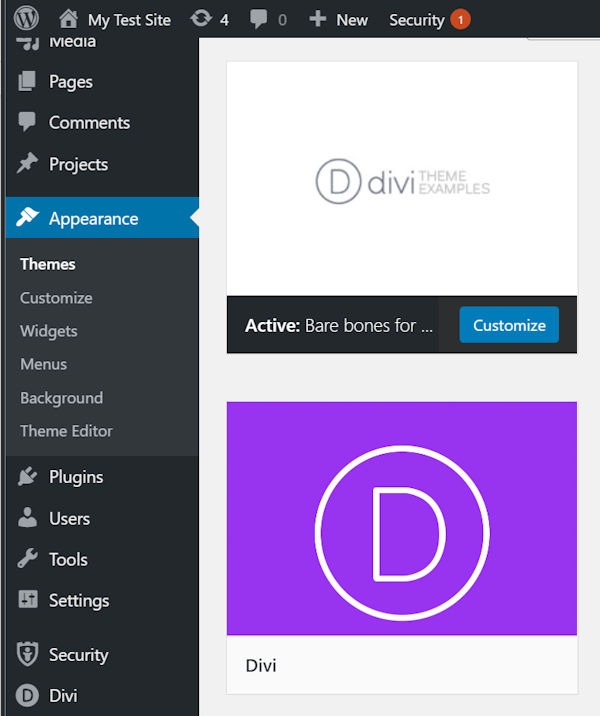 WordPress Development Divi