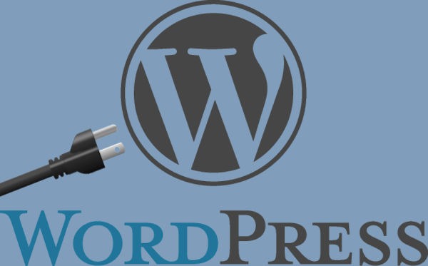 WordPress Plugin Development