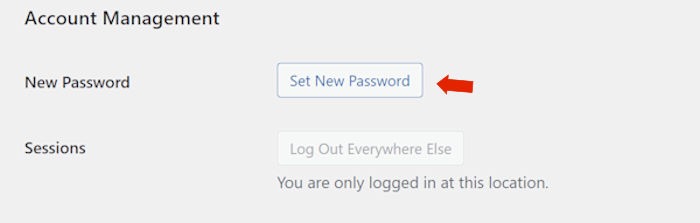 Set New Password