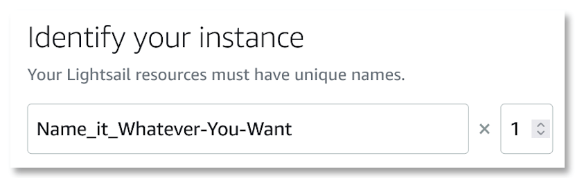 Name Your Lightsail Instance