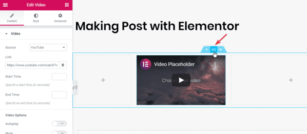 Elementor Video